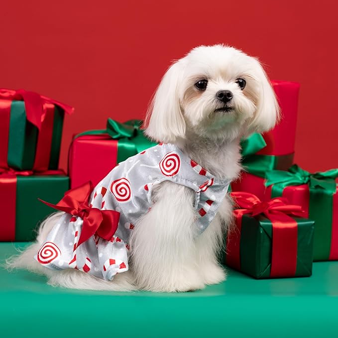 Fitwarm Christmas Candy Canes Dog Dress, Cute Dog Christmas Outfit, Doggy Clothes for Small Dogs Girl, Pet Apparel, Silver, Red, White, XS