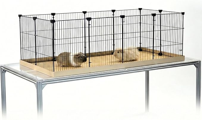 GuineaLoft™ C&C Cage (Model-AB) – Tall & Large 4ft(L) x 2ft(W) x 1.3ft(H) C&C Guinea Pig Cage, Puppy/Bunny Play Pen w/Improved Hardware & Disposable Bottom - Visit the GuineaLoft Store to See More