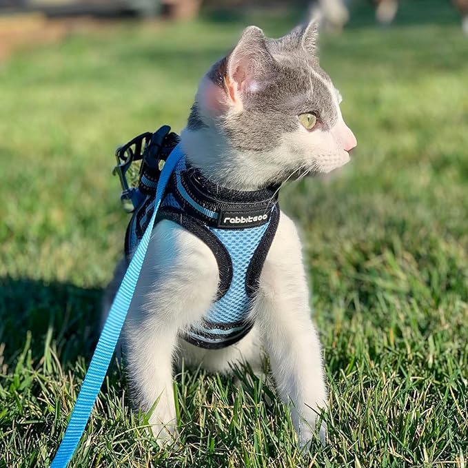 rabbitgoo Cat Harness and Leash Set for Walking Escape Proof, Adjustable Soft Kittens Vest with Reflective Strip for Cats, Comfortable Outdoor Vest, Light Blue, XL