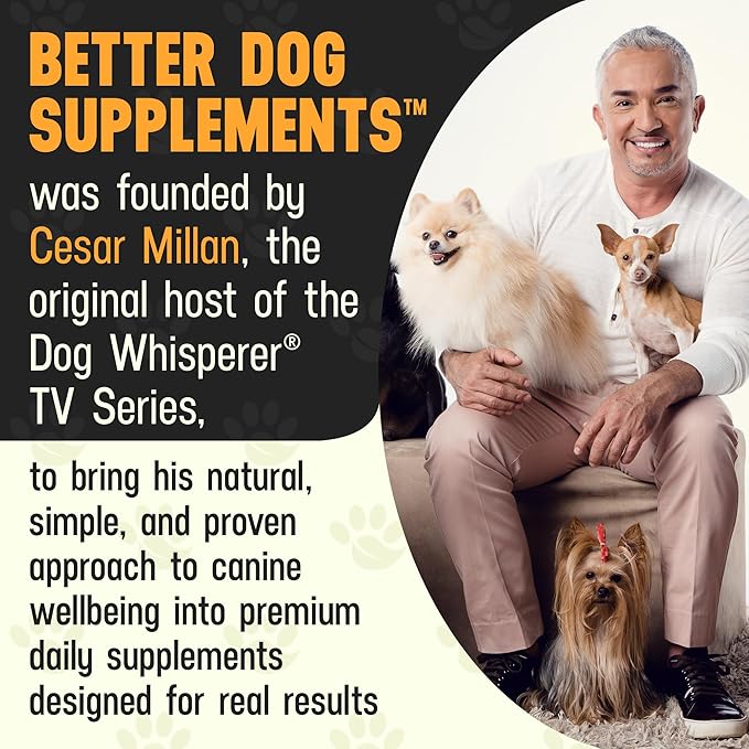 Better Dog Supplements Forever Active by Cesar Millan – Natural Dog Hip & Joint Care for Mobility, Flexibility & Comfort – Herbal Blend Dog Joint Supplement Powder – 4oz (60-Day Supply)