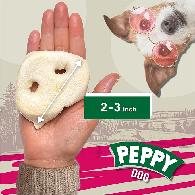 White Pig Snouts for Dogs 10 Pcs | Natural, Low-Fat Dog Chews | High Protein, Single Ingredient Treats | Supports Dental Health | Ideal for All Breeds