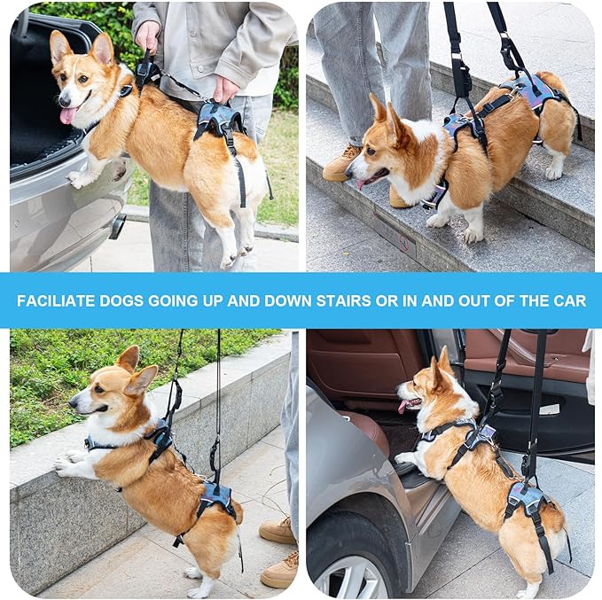 Dog Lift Harness, Dog Lift Sling Carrier with Handle & Shoulder Sling, Support Harness for Rear Back Legs Helps,Disabled,Arthritis,Joint Injuries,Paralysis Up Stairs（Blue,Extra Large）