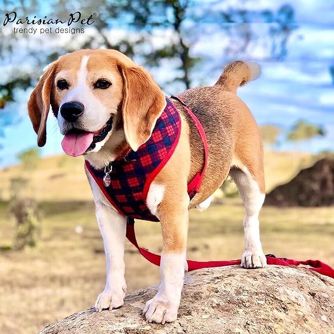 Parisian Pet Red Plaid Dog Harness - Breathable No Pull Puppy Harness with Leash Ring - Adjustable Harnesses for Dogs - Soft Padded Step-in Pet Vest - Lightweight Dog Vests for Large Dogs