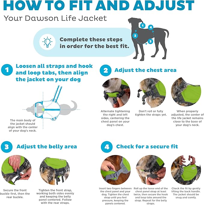 Outward Hound Dawson Swim Dog Life Jacket, Green, Large