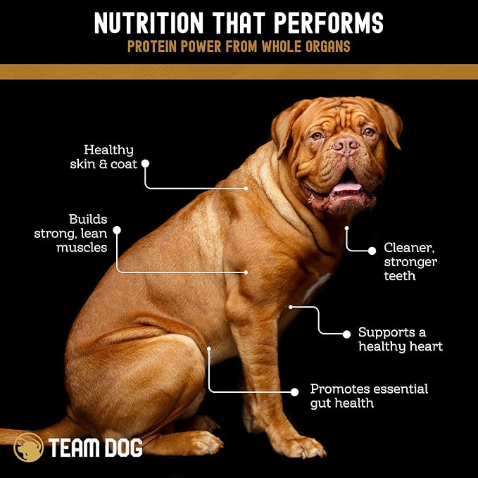 Team Dog Freeze Dried Chicken Hearts for Dogs, 4.5 Oz | Single Ingredient Dog Treat - Gluten-Free, Grain-Free | Healthy Premium, Butcher Cut Protein | High Value Training Treats | Made in The USA