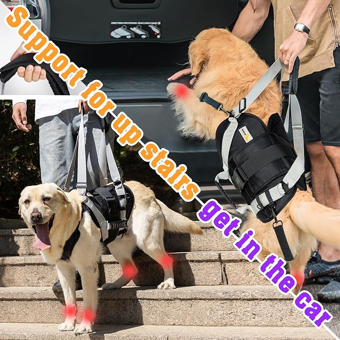 Dog Lift Harness for Large Dogs,Full Body Dog Sling Carrier with Handle,for Up Stair/Back Legs Support/Dogs Joint Injuries/Arthritis (Black, Extra-Large)