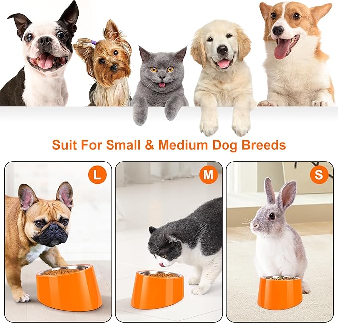 Tilted Dog Bowl Non-Slip & Non-Spill Pet Feeder with Elevated Detachable Melamine Stand, Easy to Get Food Dog Dish, S/100ml Orange