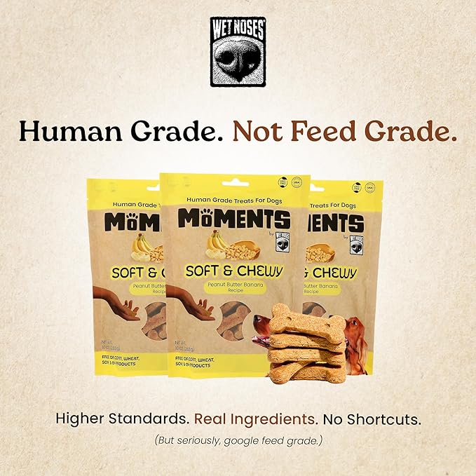 Wet Noses Moments Soft & Chewy Dog Treats – All-Natural, Human-Grade, Non-GMO, Healthy Training & Delicious Snacks for Dogs, for All Dog Sizes & Breeds – Peanut Butter & Banana, 10oz (Single Pack)