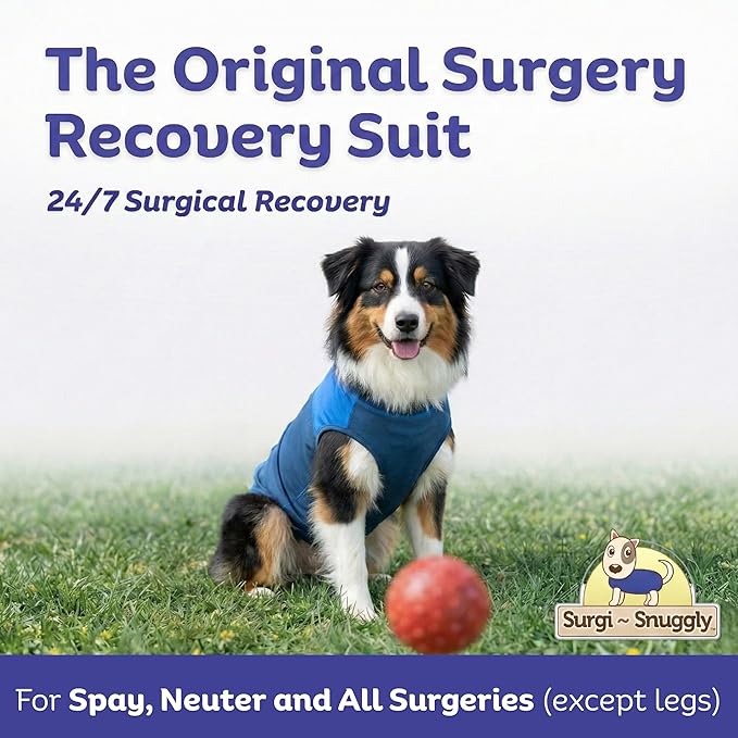 Surgi Snuggly Dog Surgery Recovery Suit – Dog Onesie for Post Surgery Recovery, Female Spay & Male Neuter – Surgical Suit for Dogs, E-Collar Cone Alternative, Double Blue - Large Long - 21" - 24" (EC)
