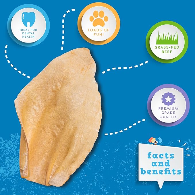 Jack&Pup Cow Ears for Dogs - White Whole Cow Ears, All Natural Single Ingredient, High Protein, Pig Ear and Rawhide Alternative Dog Treats - Cow Ears for Small and Large Dogs (15 Pack)