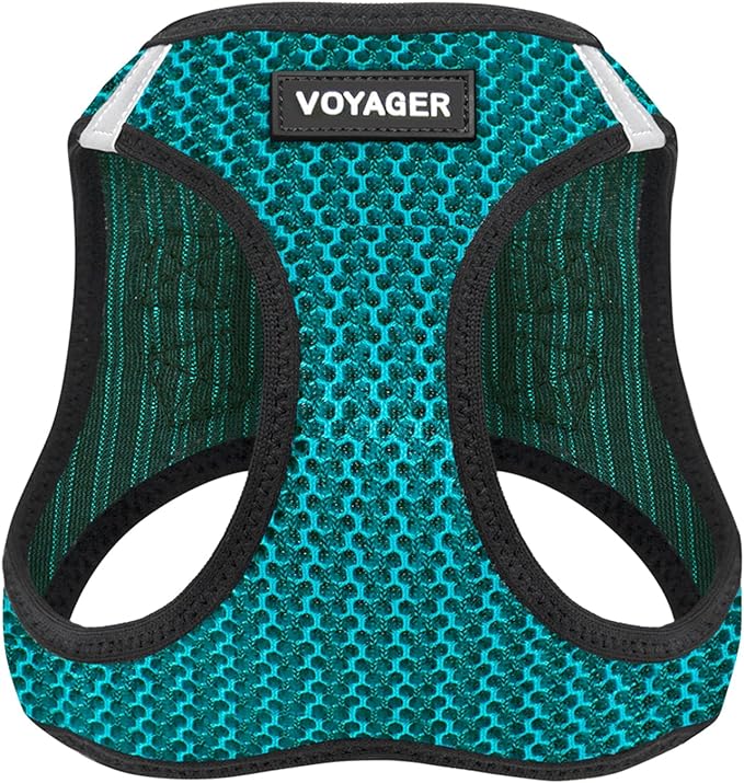 Best Pet Supplies Voyager Step-in Air Harness - All Weather Mesh, Reflective, No Pull Harness for Dogs, Cats - Secure with Hook & Loop Fastener, Buckle, Double D-Rings - Turqupise 2-Tone, M
