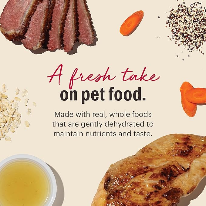 The Honest Kitchen Human Grade Wholemade™ Dehydrated Dog Food, Whole Grain Dog Food, Chicken & Duck, 10 lb (makes 40lbs)