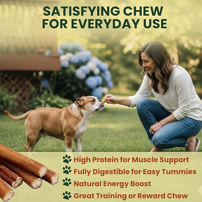 10 Pack 6 Inch Standard Bully Bones for Dogs – 100% Beef Pizzle, Single Ingredient Rawhide-Free Dental Chews, Long Lasting Natural Dog Treats for Medium to Large Dogs