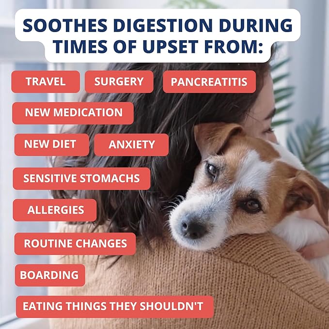 Under the Weather Bland Diet for Dogs | Easy to Digest Stomach Support for Sick Dogs | Contains Electrolytes, All Natural | 2 Pack - Turkey, Oatmeal, Sweet Potato & Slippery Elm - 6oz