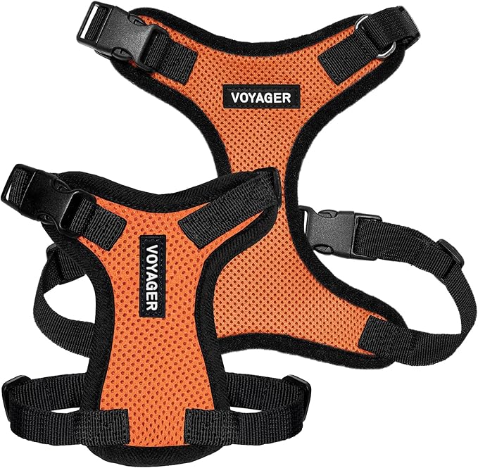 Voyager Step-in Pet Harness - All Weather Mesh, Adjustable Step in Harness for Cats and Dogs by Best Pet Supplies - Orange/Black Trim, S