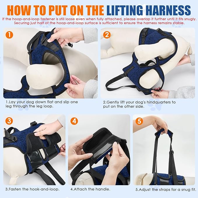 SlowTon Dog Lift Harness - Adjustable Dog Sling for Medium Large Dogs, Hind Leg Support to Help Rehabilitate, Soft Padded Dog Support Harness for Elderly, Injured, Arthritic, Disabled Dogs(BL,S)