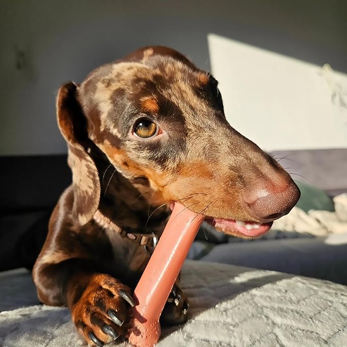 Nylabone Power Chew Classic Bone Chew Toy for Dogs, Durable Dog Toys for Aggressive Chewers, Bacon Flavor, Medium/Wolf - Up to 35 lbs. (1 Count)