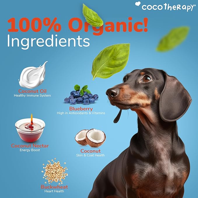 Cocotherapy Coco-Charms Blueberry Cobbler - Organic Dog Treats, All Natural, Vegan Training Treat for Dogs with Organic Coconut Oil