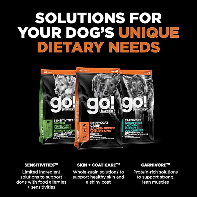 Go! Solutions Skin + Coat Care Salmon Dry Dog Food with Grains, Chicken-Free, Healthy Kibble with Omega-3s & 6s for Soft, Shiny Fur, for Puppies, Adults, & Seniors, 3.5 lb Bag