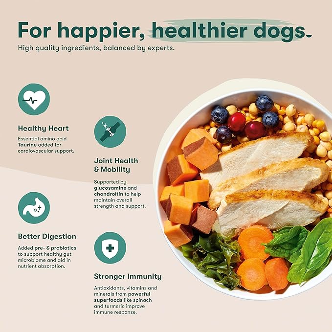 Jinx Premium Dry Dog Food for Senior Dogs - Real Chicken, Brown Rice & Sweet Potato Kibble with Antioxidants for Immune Support & Whole Grains for Digestive Support - No Fillers - 11.5lb