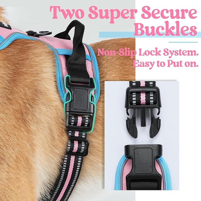 rabbitgoo Dog Harness No Pull with 2 Leash Clips, Adjustable Soft Padded, Reflective Oxford No Choke Pet Vest with Easy Control Handle for Large Dogs, Pink & Blue, L