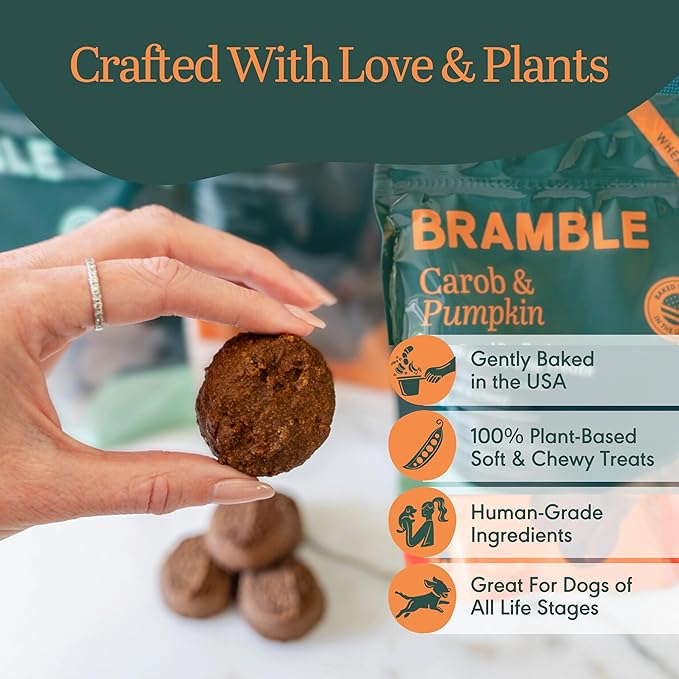 BRAMBLE Organic Dog Treats. Everyday Carob & Pumpkin Human Grade, Made with Real Ingredients, Soft & Chewy Dog Cookies. Wheat-Free Plant-Based. 8 oz
