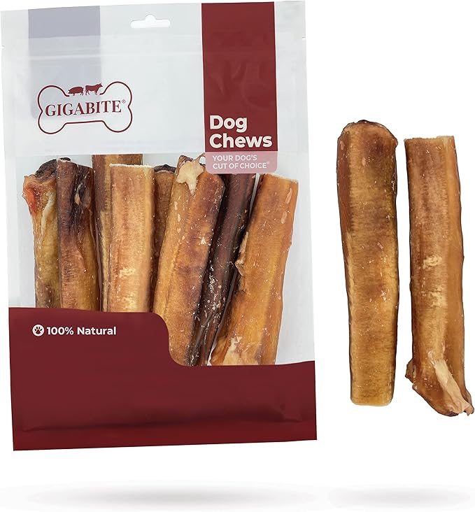GigaBite Bully Sticks for Dogs All Natural Beef Pizzle Dog Chews, Odor & Rawhide Free Dog Treats, Long Lasting High Protein Chews Digestible Dental Dog Treat - Sticks (Monstrous 6"), Pack of 8