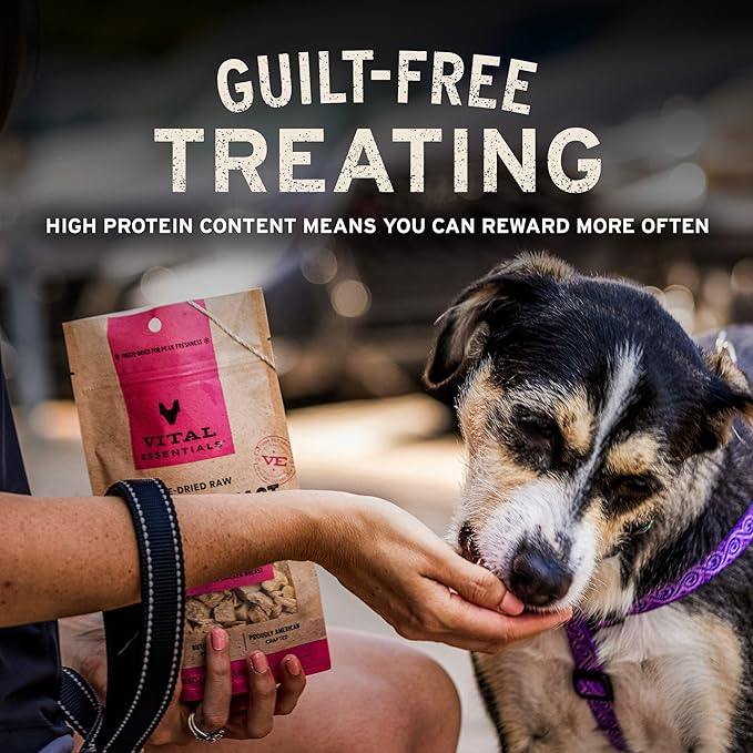 Vital Essentials Freeze Dried Dog Treats | Beef Bites, Single Protein | Premium Quality | Grain Free Training Treats for Dogs, 2.5 oz Bag