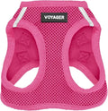 Best Pet Supplies Voyager Step-in Air Harness - All Weather Mesh, Reflective, No Pull Harness for Dogs, Cats - Secure with Hook & Loop Fastener, Buckle, Double D-Rings - Fuchsia, XXXS