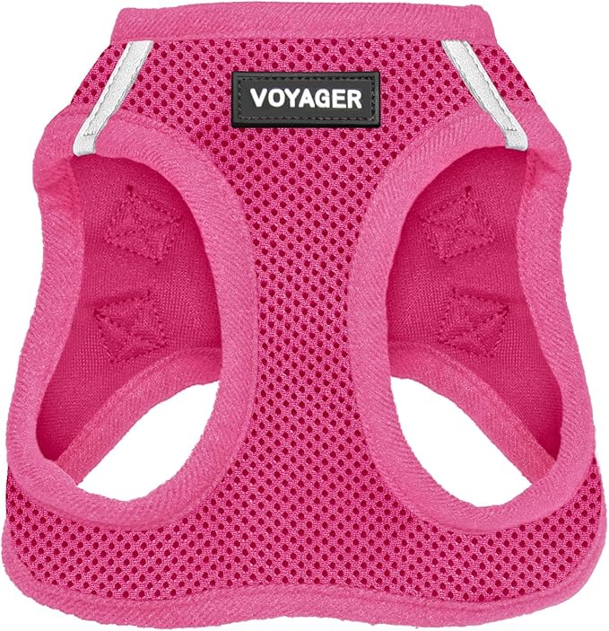 Best Pet Supplies Voyager Step-in Air Harness - All Weather Mesh, Reflective, No Pull Harness for Dogs, Cats - Secure with Hook & Loop Fastener, Buckle, Double D-Rings - Fuchsia, XXS