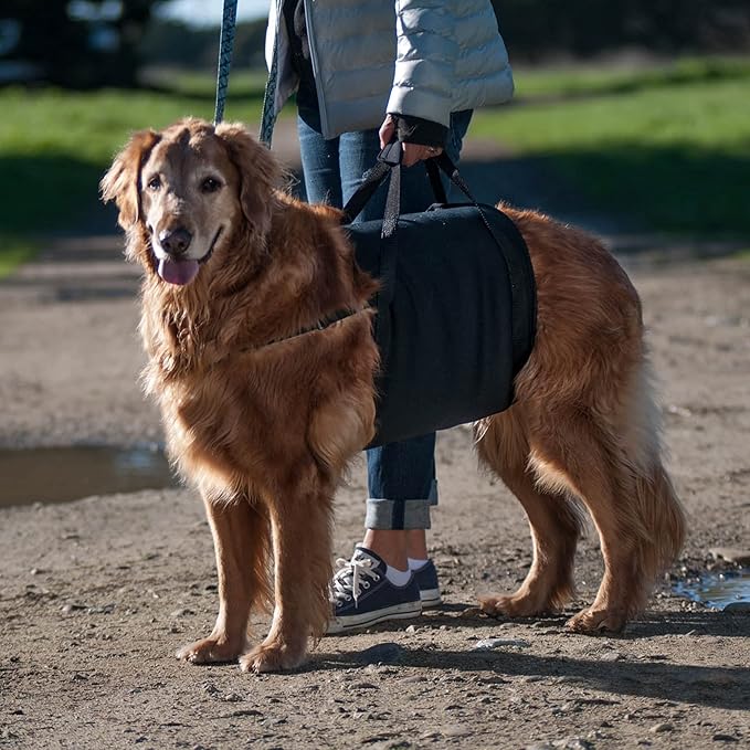 Walkabelly Support Sling, Easy-to-Use Belly Harness for Daily Mobility, Stop Straining to Lift Your Pet, Quick-Lift Original Design by Walkabout Harnesses (MedLarge Walkabelly)