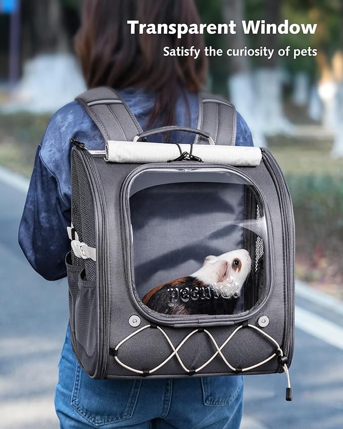 Pecute Small Pet Carrier, Breathable Small Animal Carrier with Transparent Bubble & Steel Frame, Safety Lock for Hamster, Rabbit, Bearded Dragon, Guinea Pig, Parrot, Ideal for Hiking, Vet Visits, Gray