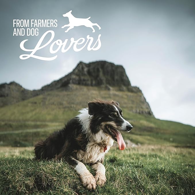 Lamb Lung Dog Treats - Lung Biscuits | 100% Natural Single Ingredients Dog Treats | Crunchy Gluten Free Lung Dog Snacks | High Protein Low Fat Biscuits for All Breeds | Healthy Pet Treats Snacks | 4oz
