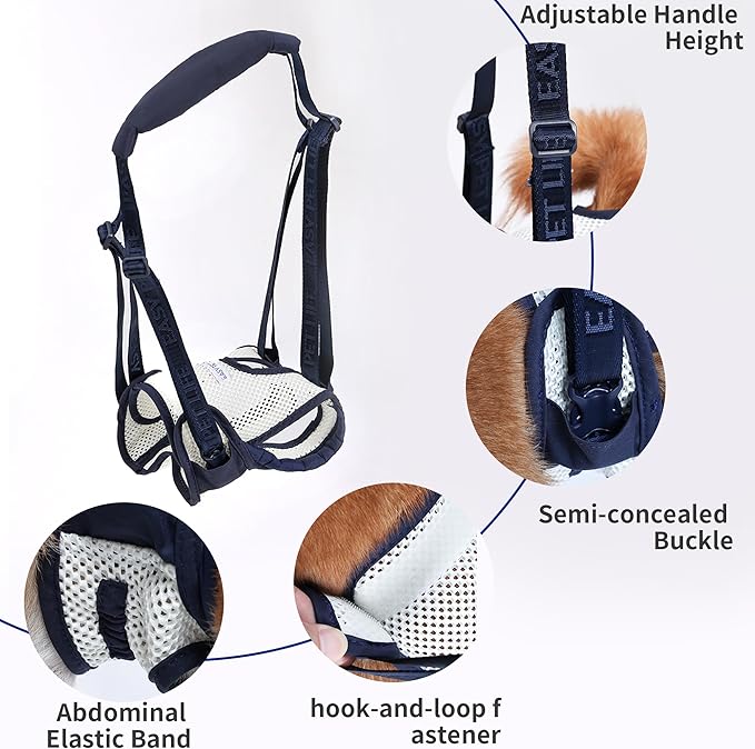 Dog Lift Harness for Back Legs - Adjustable Mobility Aid for IVDD/Paralyzed/Senior Dogs (3-in-1 Sling Design), Comfortable Leg Support, Instantly Help Your Dog Walk Again (Blue, M)