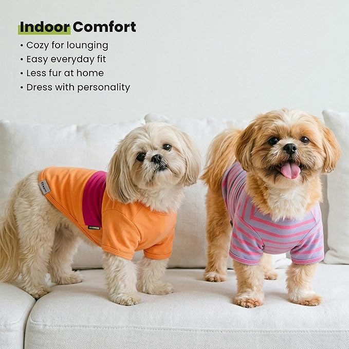 Fitwarm 3 Pack Color Block Striped Dog Shirt, Summer Dog Clothes for Small Dogs, Breathable Lightweight Dog Tshirt, Pet Outfit, Pink, Orange, Purple, Medium