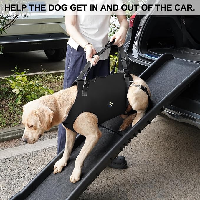 Coodeo Dog Lift Harness, Pet Support & Rehabilitation Sling Lift Adjustable Padded Breathable Straps for Old, Disabled, Joint Injuries, Arthritis, Loss of Stability Dogs Walk (Black, S)