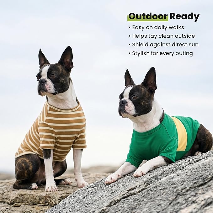 Fitwarm 3 Pack Color Block Striped Dog Shirt, Summer Dog Clothes for Small Dogs, Breathable Lightweight Dog Tshirt, Pet Outfit, Navy Blue, Sea Green, Brown, XXL
