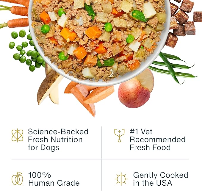 JustFoodForDogs Frozen Fresh Dog Food, Complete Meal or Dog Food Topper, Beef & Russet Potato Human Grade Dog Food Recipe, 18 oz (Pack of 21)