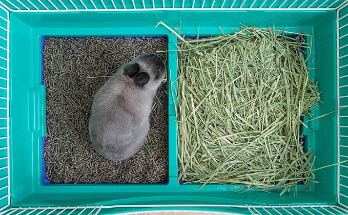 IRIS USA Large Portable Wire Rabbit Cage with Top Access and Two Tray Division, Easy Access Secure Lock and Easy to Clean Movable House for Small Sized Animals Rabbit Guinea Pigs Rat Hamster, Green