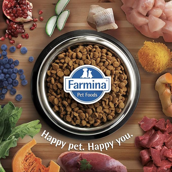 Farmina N&D Dog Dry Quinoa Weight Management Lamb 15.4 Pounds