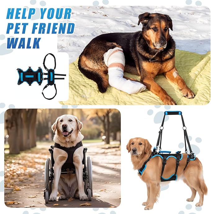 Dog Lift Harness for Large Dogs, 2-in-1 Detachable Full Body Support Acl Dog Sling Carrier with 4 Handles, Hind Assist Back Leg for Senior, Disabled, Arthritic & Post-Surgery Canines(Large)
