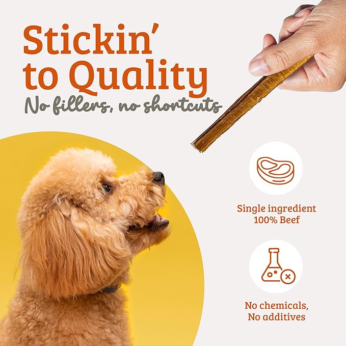 Advance Pet Products Premium 6 Inch Bully Sticks for Dogs (Pack of 5) – 100% Beef Dog Chews, Odor-Free, Long Lasting Treats for Aggressive Chewers, High Protein, Gluten & Rawhide Free, Easy to Digest