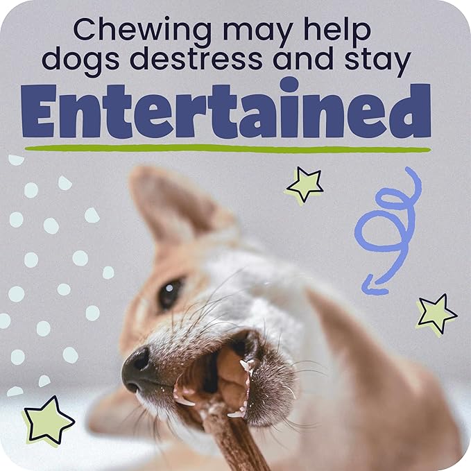 Pawstruck Natural 12” Braided Bully Sticks for Dogs - Tough, Long-Lasting, Rawhide-Free, Low Odor, Healthy Single Ingredient Chew Treat for Aggressive Chewers - 25 Count - Packaging May Vary
