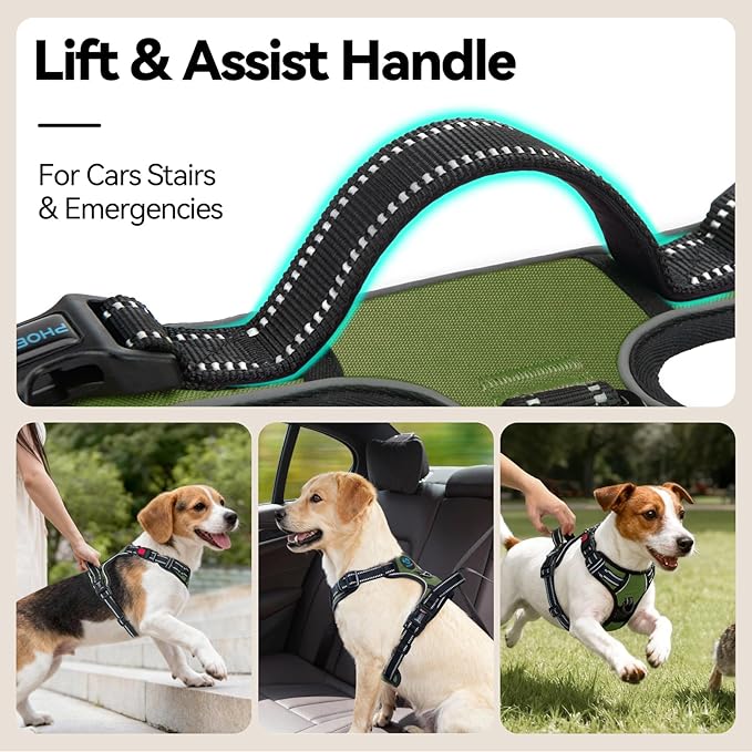 PHOEPET No Pull Dog Harness with Handle Front & Back Clip, Easy on Lockable Snap Buckle at Neck, Adjustable Reflective Vest with Handle for Small Medium Large Dogs (L, Misty Green)