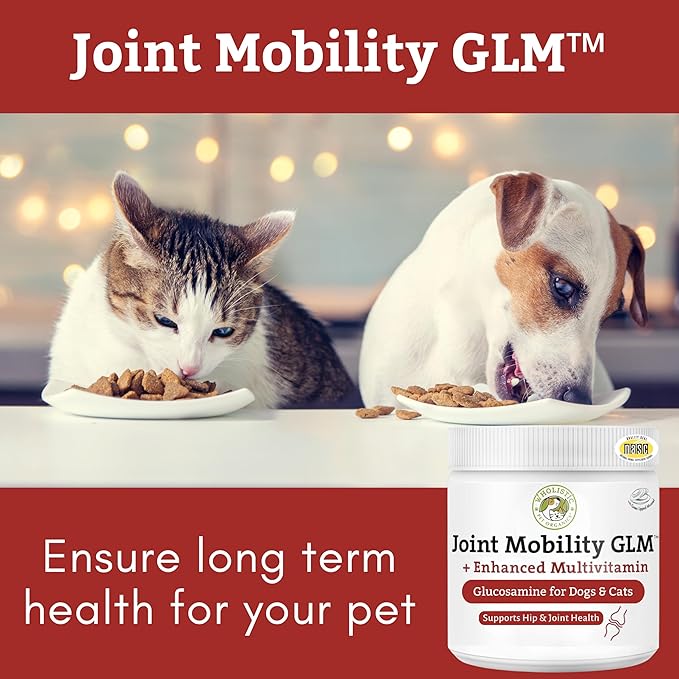 Wholistic Pet Organics - Hip and Joint Supplement for Dogs & Cats - Cat and Dog Joint Supplement - Green Lipped Mussels, Glucosamine, Chondroitin for Dogs & Cat Mobility Support - 4 Lb - 181 Scoops