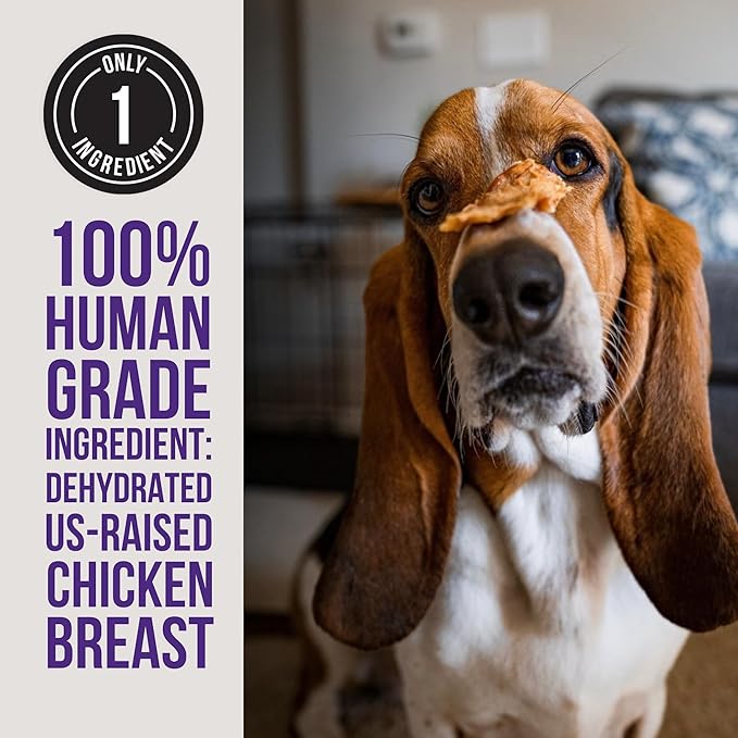 Natural Rapport Chicken Jerky Dog Treats - The Only Chicken Tender Jerky Dogs Need - All Natural Dog Treats for Small and Large Dogs (4 oz)