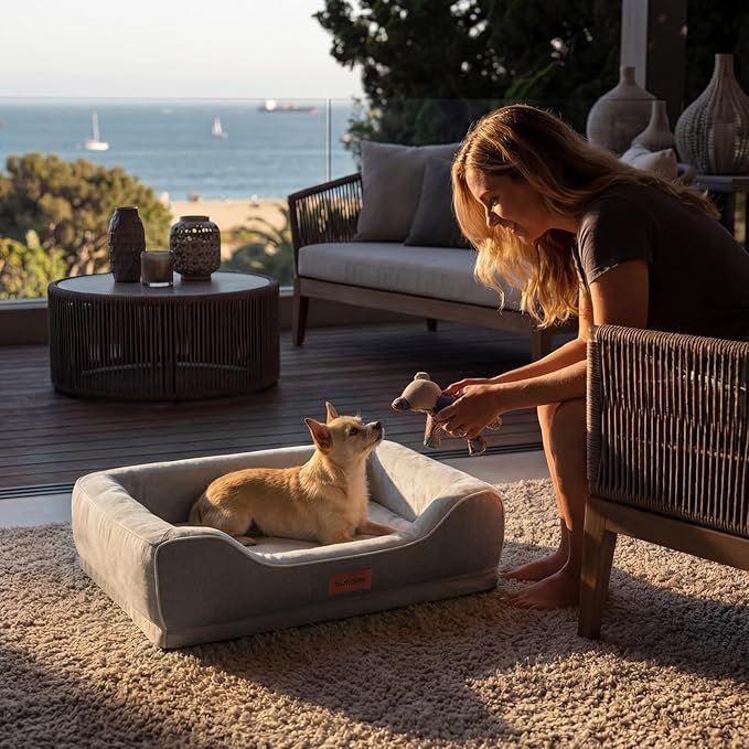 Orthopedic Dog Bed for Small Dogs,Cooling Gel Memory Foam Pet Bed with Removable Waterproof Cover,Washable Puppy Couch Bed for Joint Pain Relief,24"x18"x6",Grey