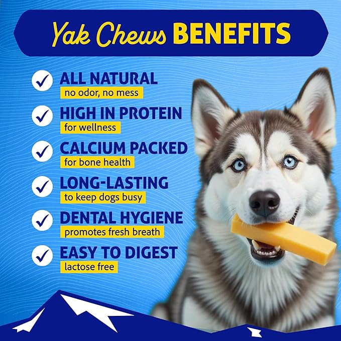 Himalayan Dog Chew Bacon Yak Cheese Dog Chews, The Better-for-You Chew, 100% Natural Long Lasting, Healthy Dog Treats, Lactose & Grain Free, Protein Rich, for Dogs 65 Lbs & Smaller, 2-Count