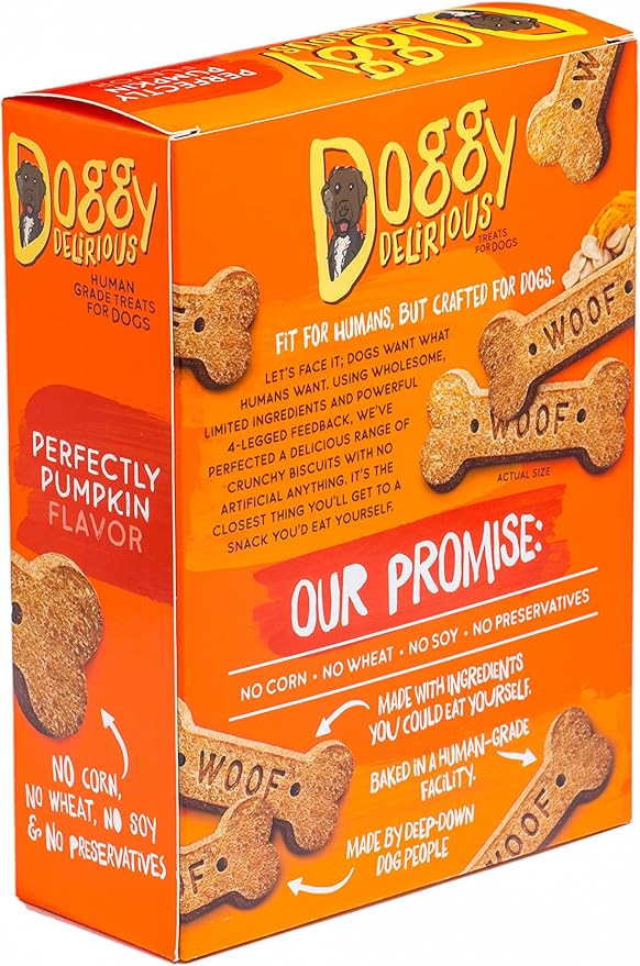 Doggy Delirious Crunchy Dog Treats – for All Pet Sizes, Breeds – All-Natural Puppy Treat – 100% Human-Grade – Delicious Pet Treat Bones, Snacks for Dogs – Pumpkin, 16 Oz.