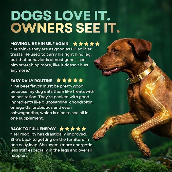 High-Performance & Longevity Soft Chews for Hunting, Sport and Working Dogs with Glucosamine, Chondroitin, Omega-3, Antioxidants, Ashwagandha, Probiotics, Beef Flavor, 90 Count